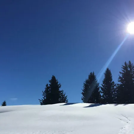 Rouge Coeur * ベー